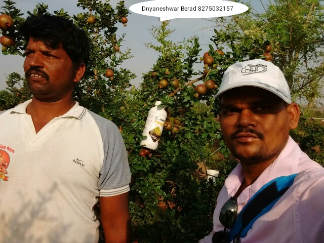 Green Planet Bio Products Ahmednagar Mobile  shop Ahmednagar